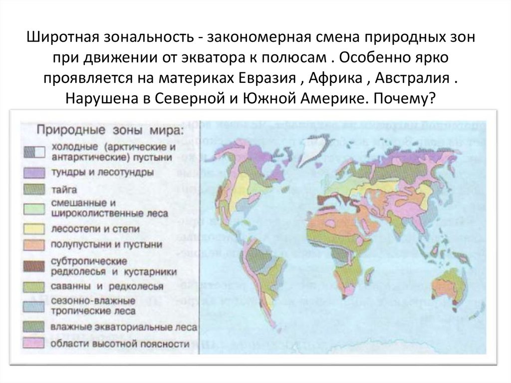 Почвы от экватора к северному полюсу. Природные зоны России от экватора к полюсам.