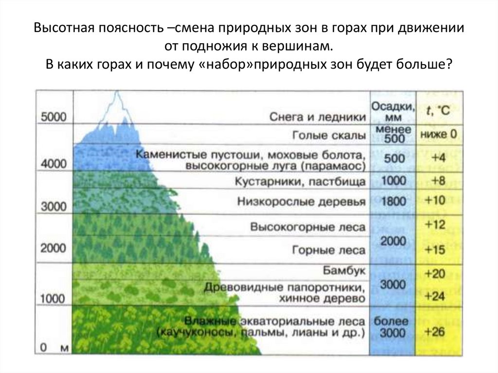 Объясните с какими изменениями климата. Высотная поясность Урала таблица. Высотная поясность Алтая. Высотная поясность Саяны. Высотная поясность Южного Урала таблица.