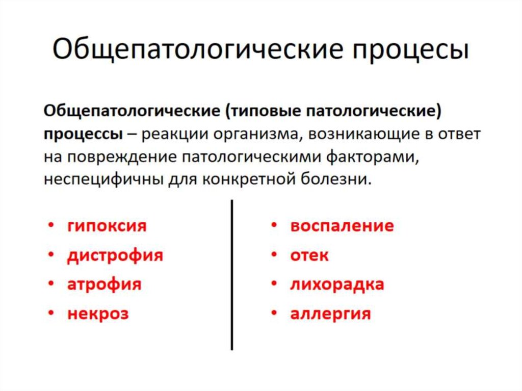 Перечислите процессы. Типовые Общепатологические процессы. Классификация и характеристика общепатологических процессов. 3.Перечислите Общепатологические процессы:. Общепатологические процессы в патологической анатомии.