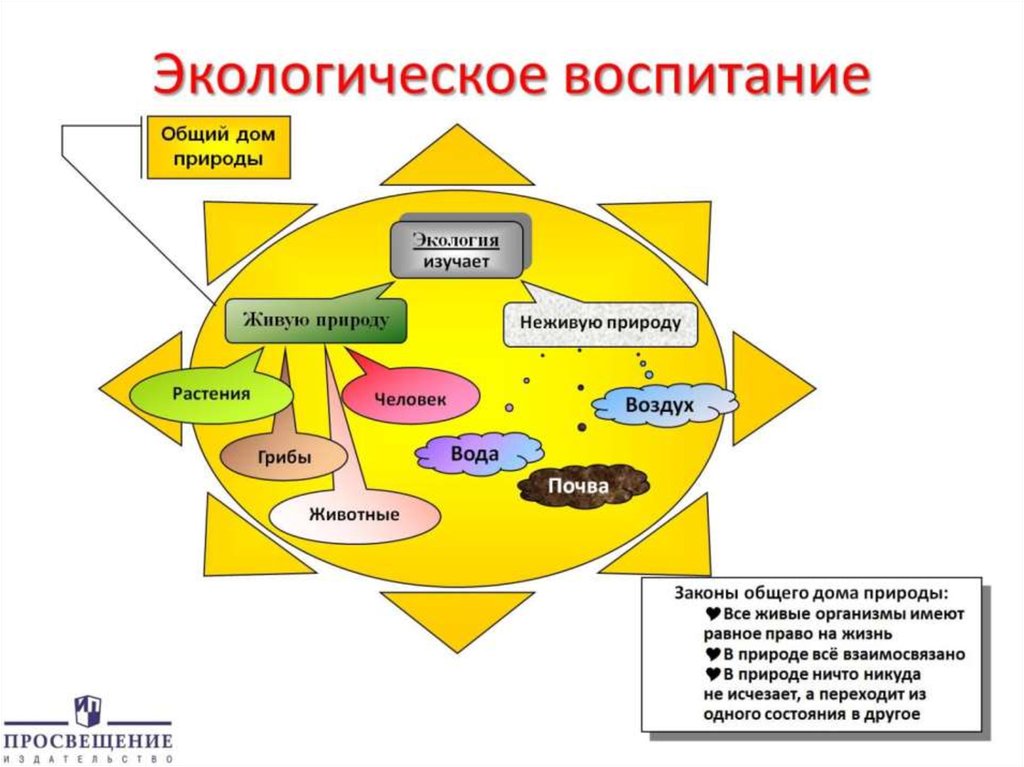 Экологическое воспитание