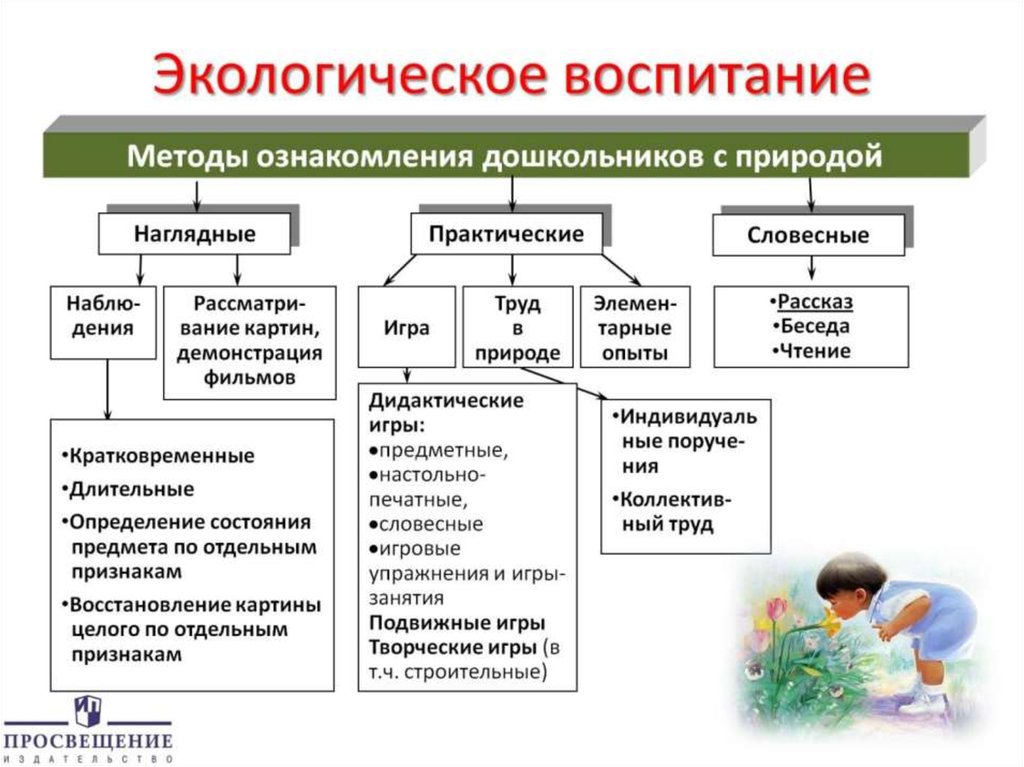 Экологическое воспитание