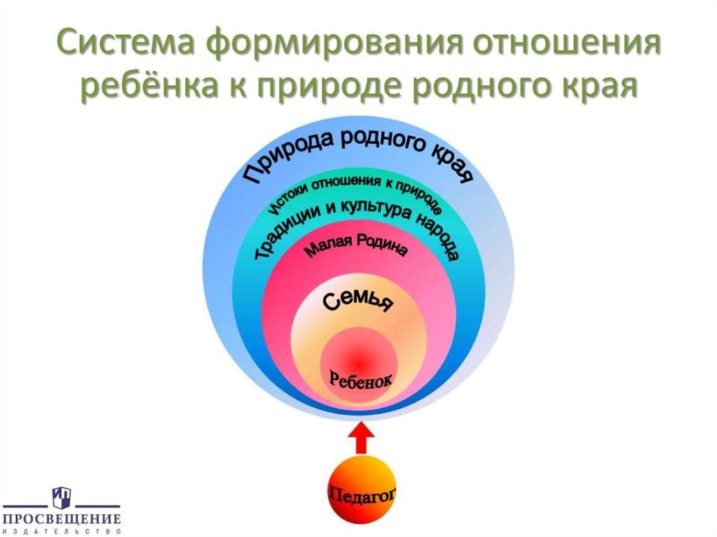 Система формирования отношения ребёнка к природе родного края