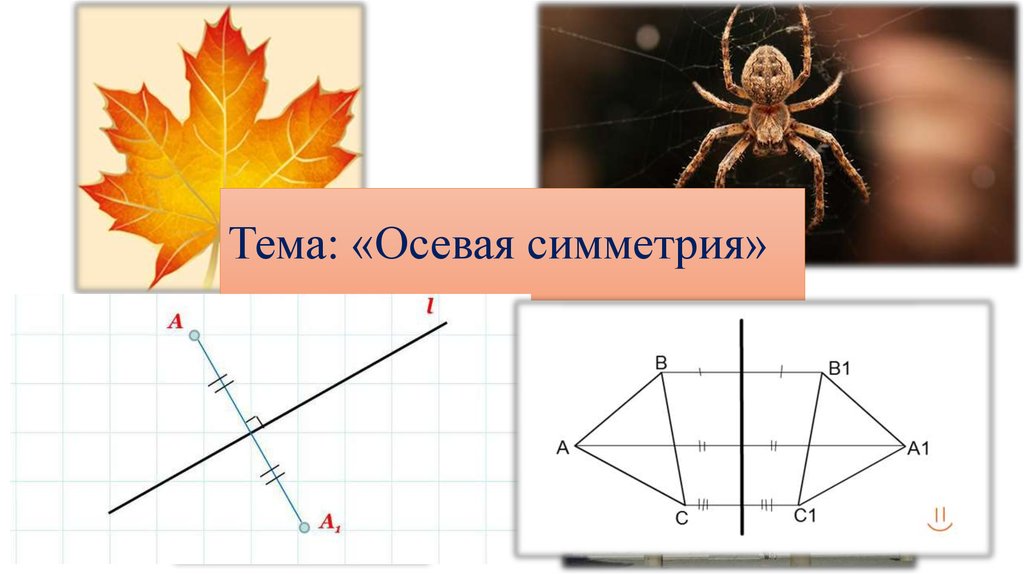 Рисунок с осевой симметрии