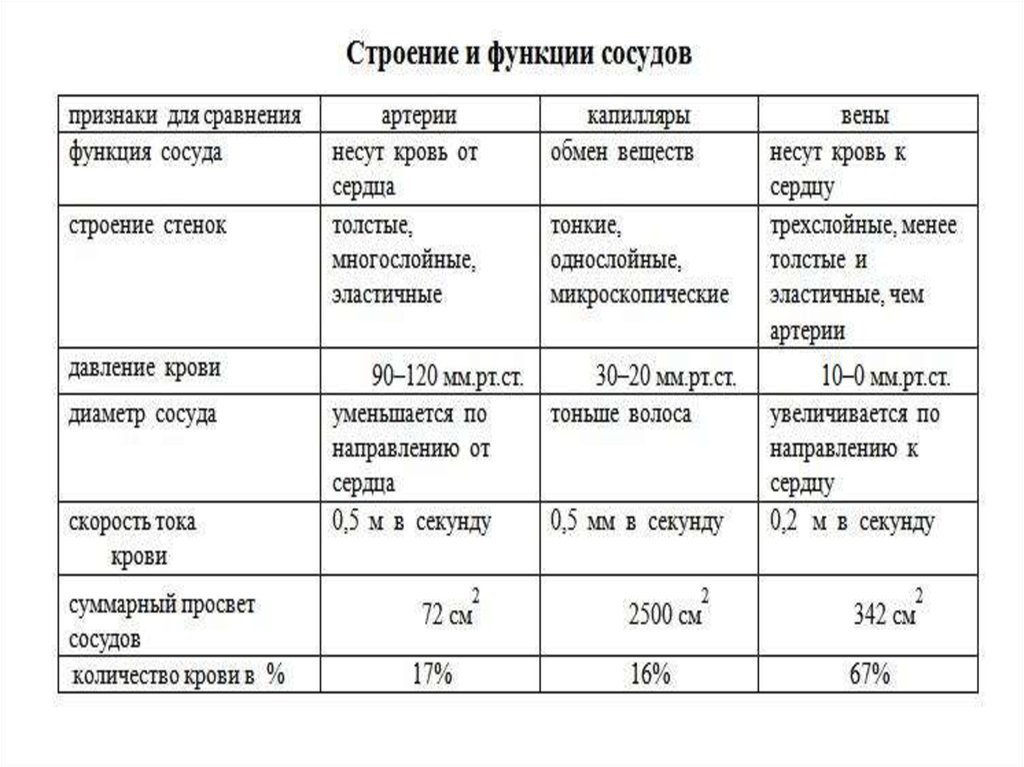 Анатомия и физиология человека в таблицах и схемах