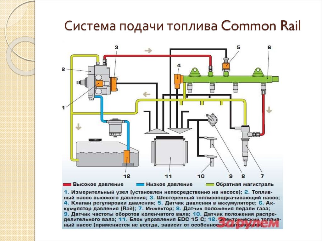 Коммон рейл принцип. Система питания common Rail дизельного двигателя. Схема топливной системы дизельного двигателя common Rail. Система подачи топлива Коммон рейл. Схема системы впрыска common Rail.