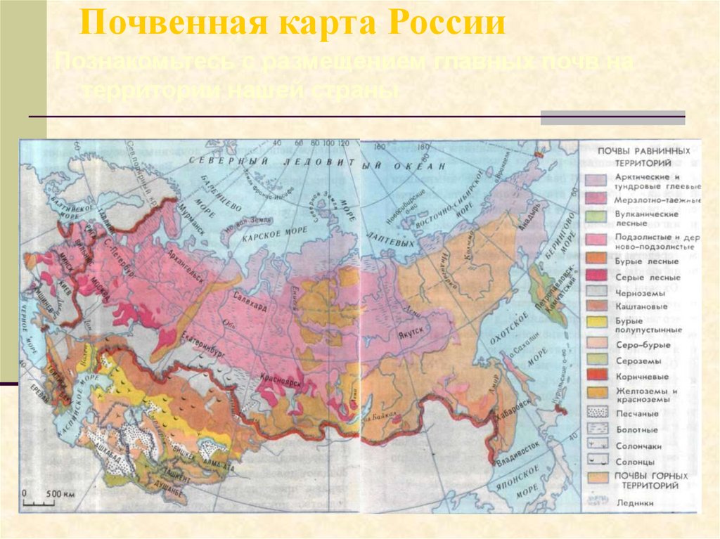 Карта типов почв россии