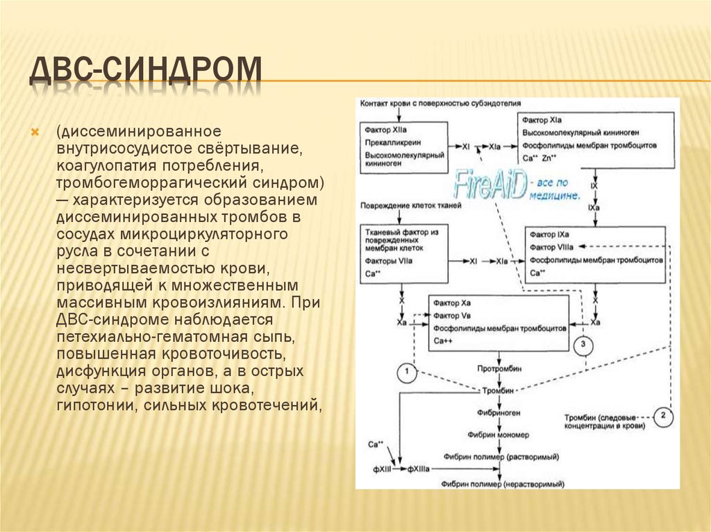 Двс синдром биохимия презентация