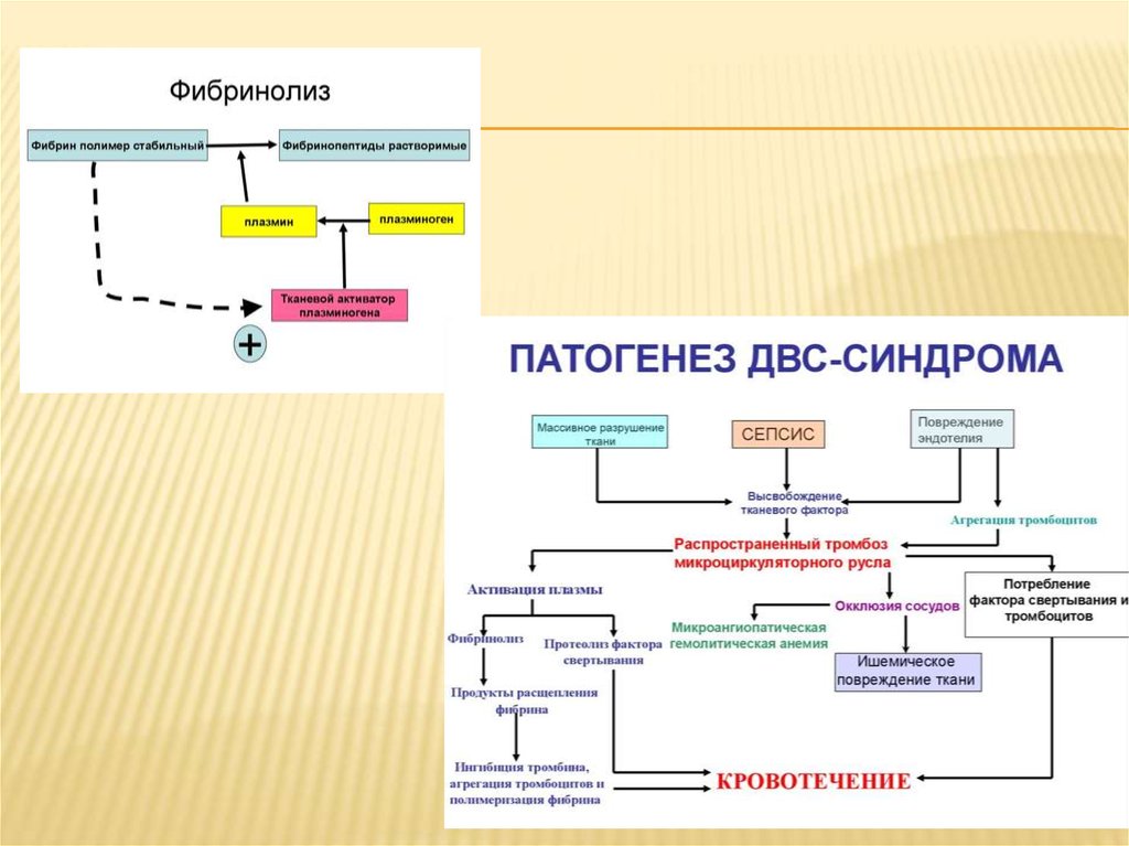 Вся биохимия в одной картинке