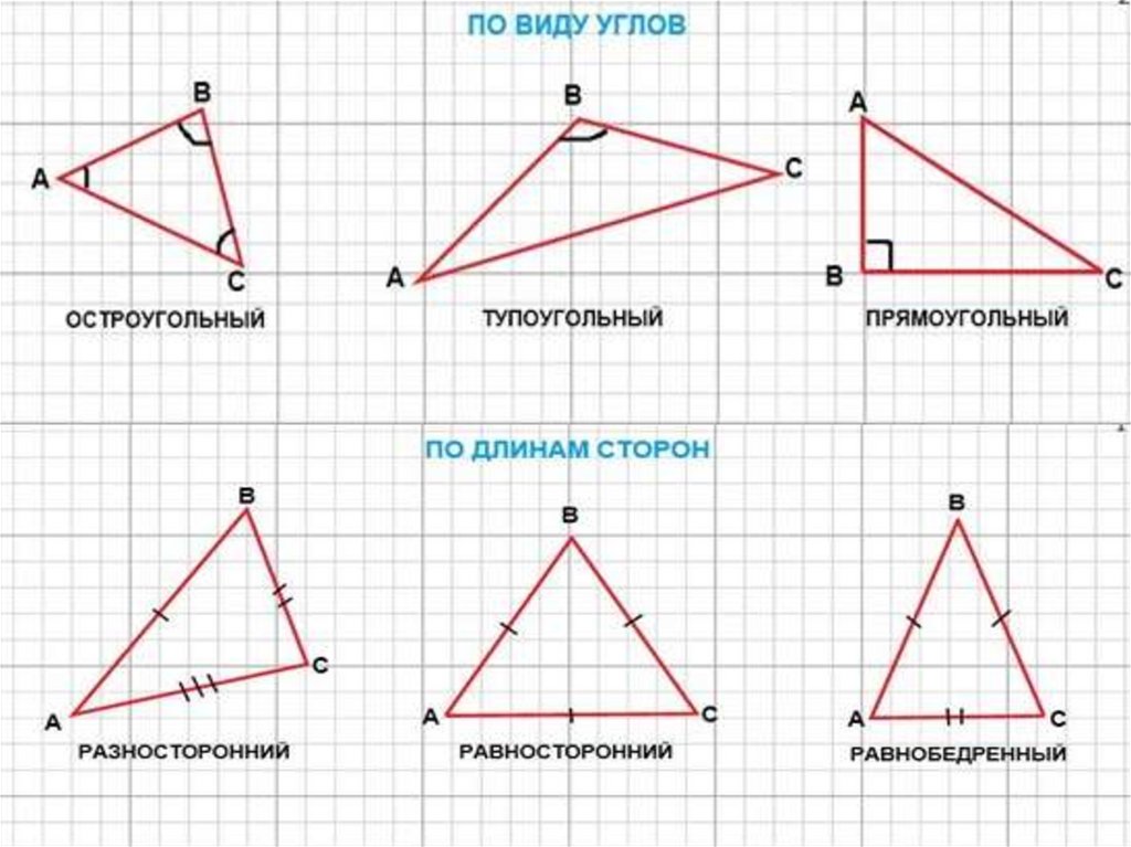 Построй прямоугольный и тупоугольный треугольник. Тупоугольный треугольник 100 градусов. Углы остроугольного треугольника. Тупоугольный треугольник градусы. Остроугольный прямоугольный и тупоугольный треугольники.