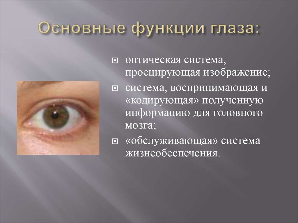Основные функции зрения. Основные функции глаза. Функции зрения глаза.