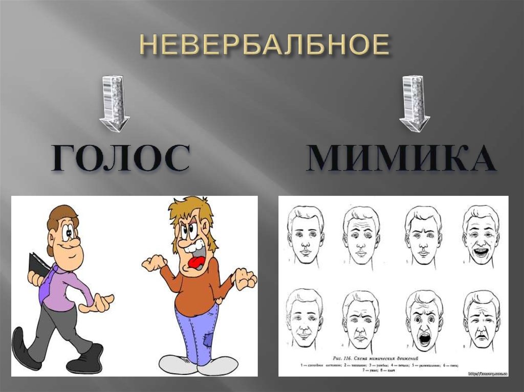 НЕВЕРБАЛБНОЕ