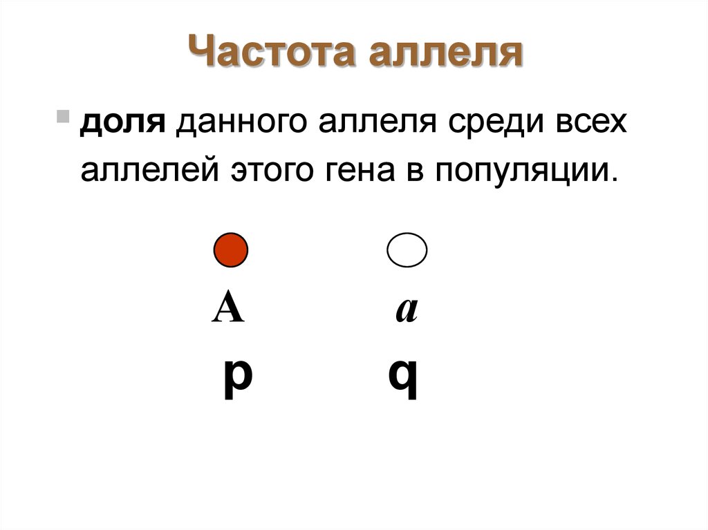 Частота аллелей в популяции. Частота аллелей. Частота аллеля в популяции. Как найти частоту аллелей. Как определить частоту аллелей в генетике.