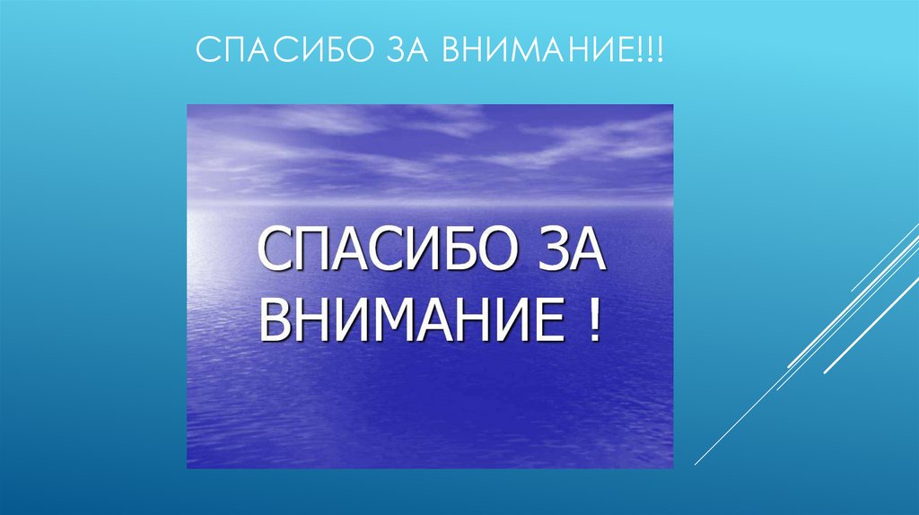 Спасибо за внимание!!!