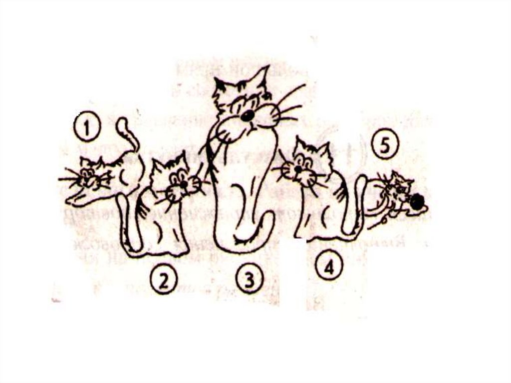 Играть 5 котят. Сосчитай кошек. Пять котов рисунок. Одинаковые коты. Котята для счета.