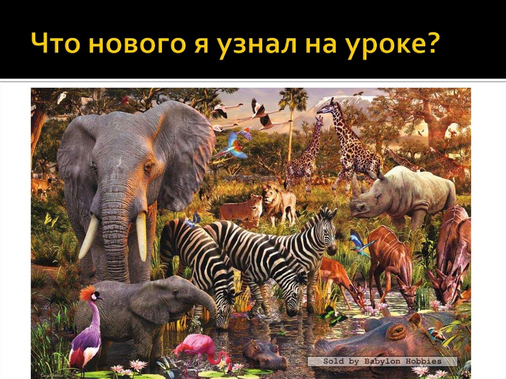 Что нового я узнал на уроке?