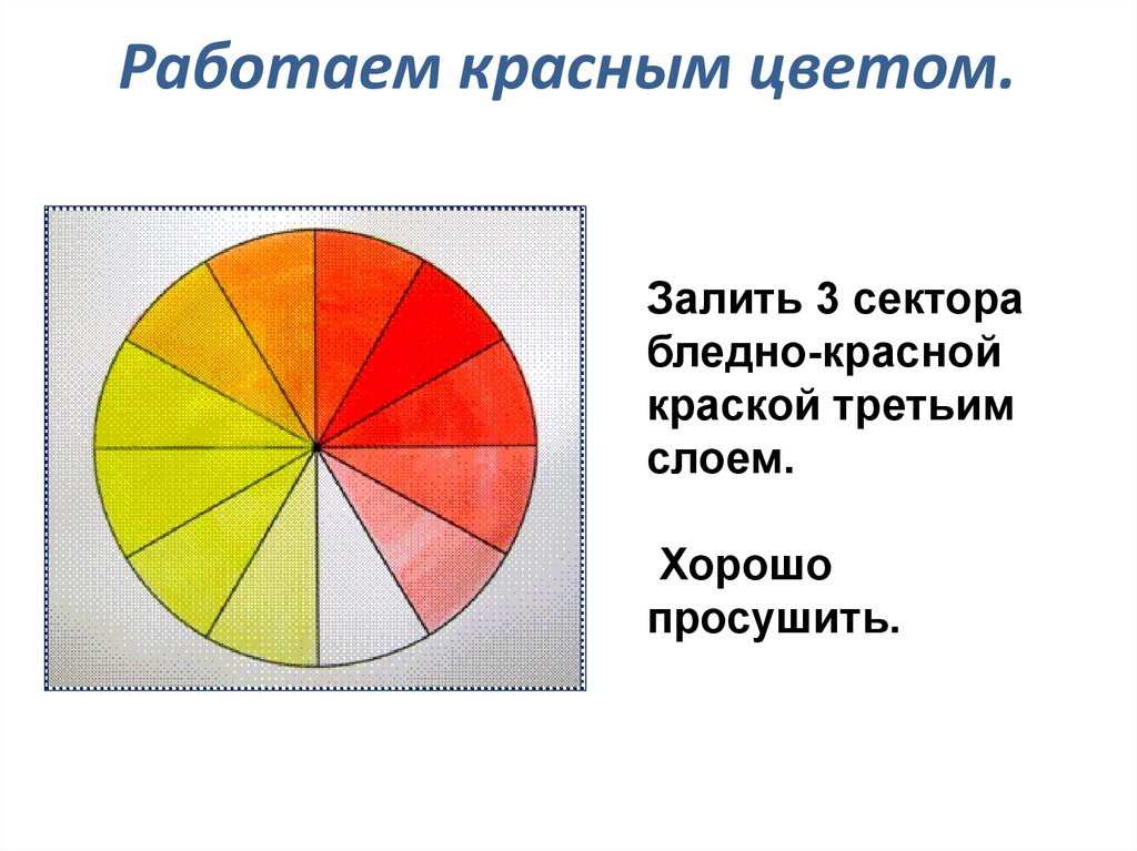 Сколько кругом цветов