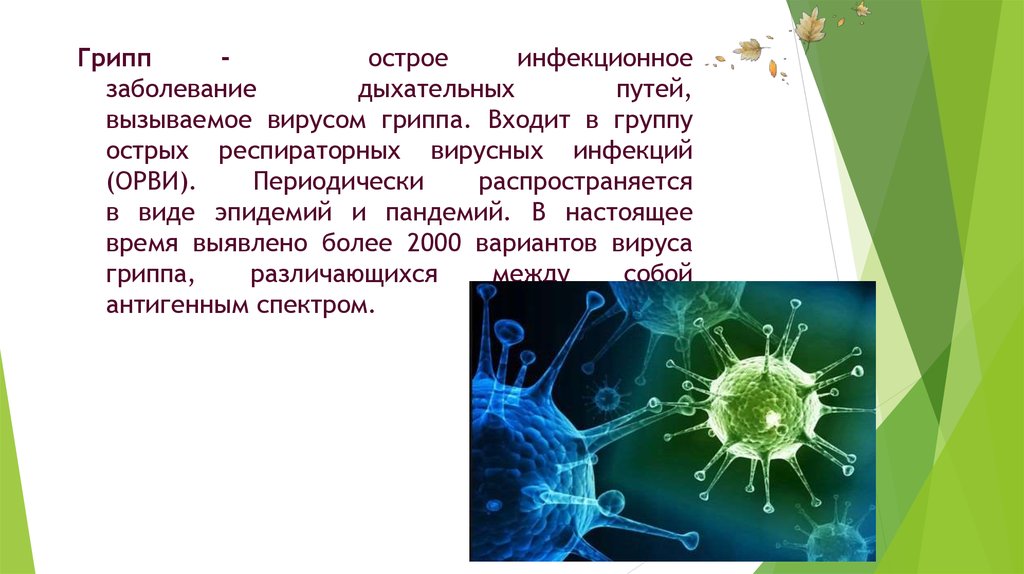 Вирусы вызывают тест