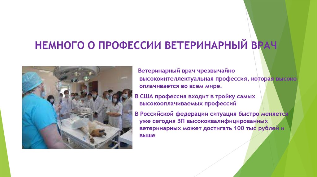 Специальность ветеринария презентация