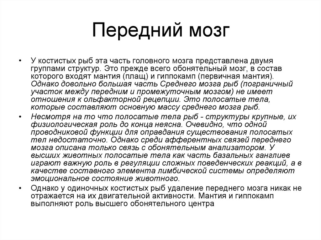 Функции переднего мозга. Функции полосатого тела физиология.