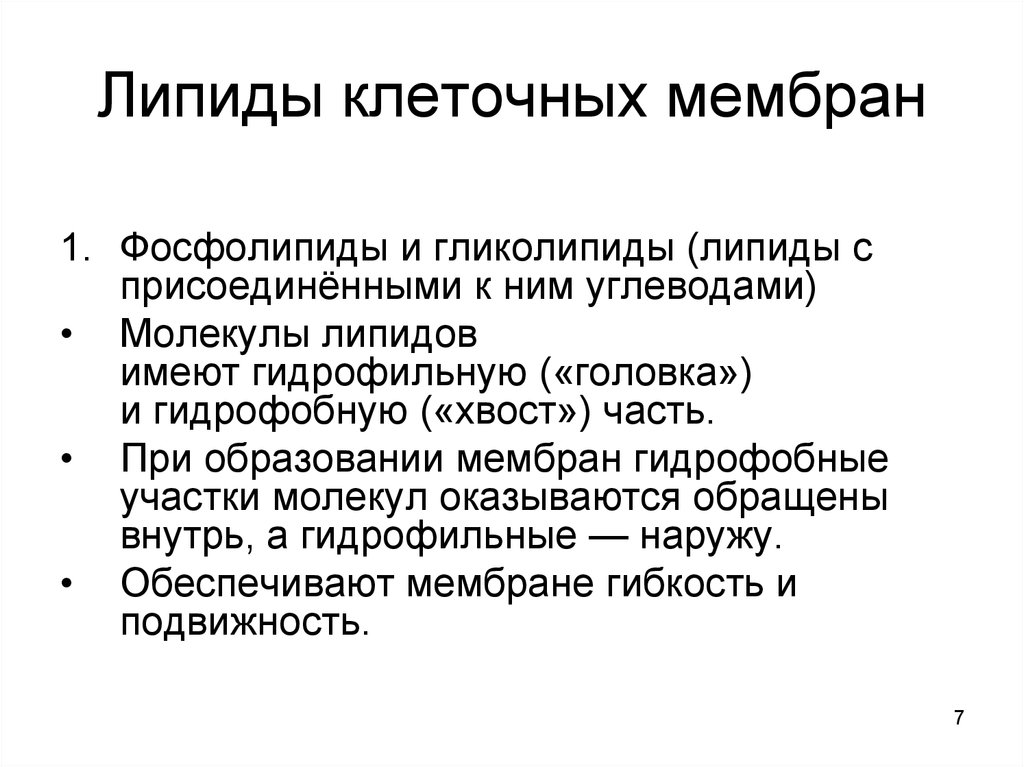 Образование мембран. Гликолипиды в мембране. Фосфолипиды и гликолипиды. Из фосфолипидов клеточных мембран образуются медиаторы.