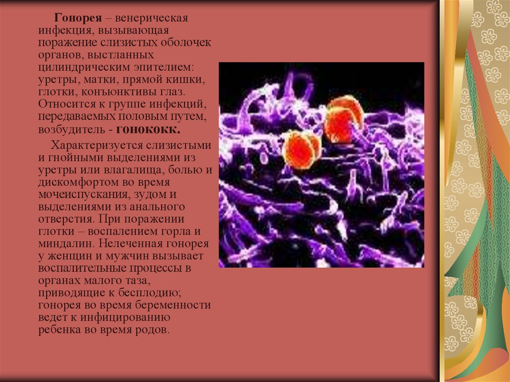 Возбудитель гонореи презентация