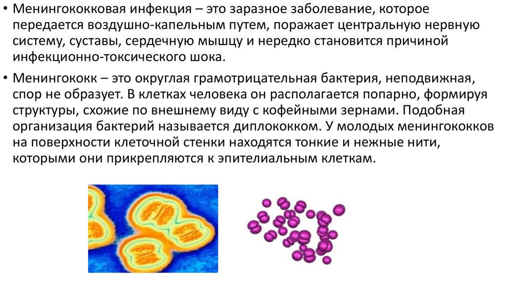 Течение менингококковой инфекции