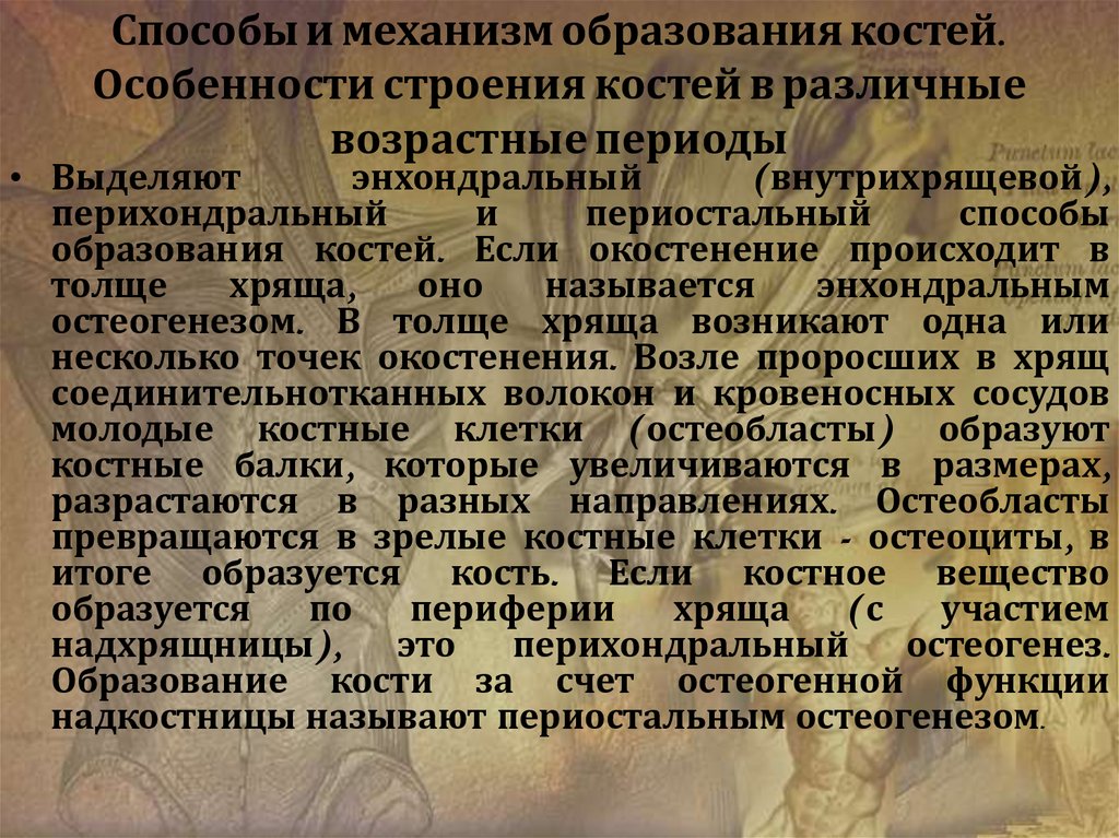 Особенности костей. Способы и механизмы образования костей. Способы образования костей. Способы развития образования костей. Особенности строения костей в различные возрастные периоды.