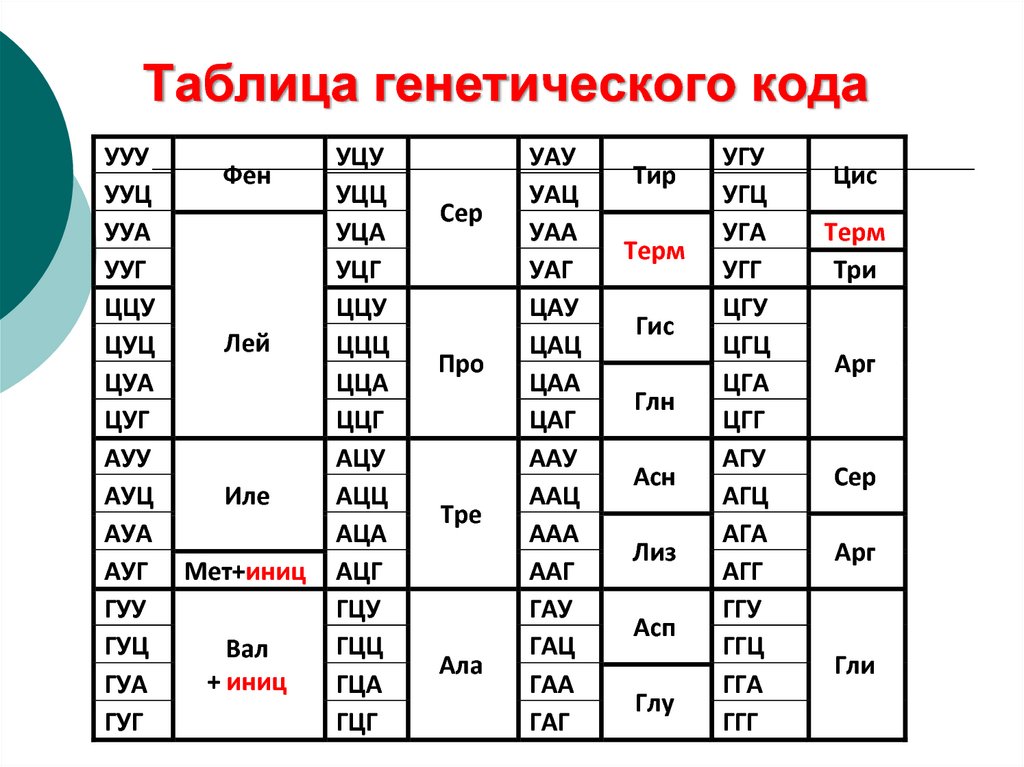 Белок таблица генетического кода