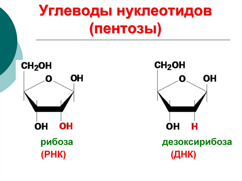 Рибоза состоит из. Углевод пентоза рибоза. Пентоза формула. Строение пентозы.