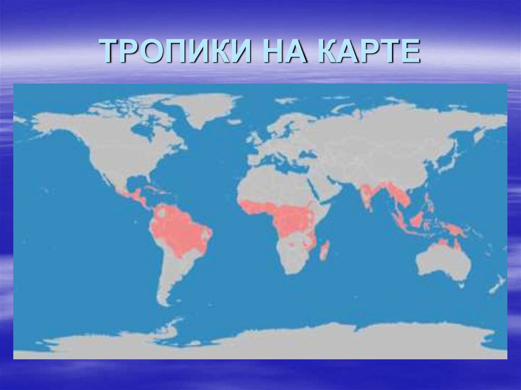 ТРОПИКИ НА КАРТЕ