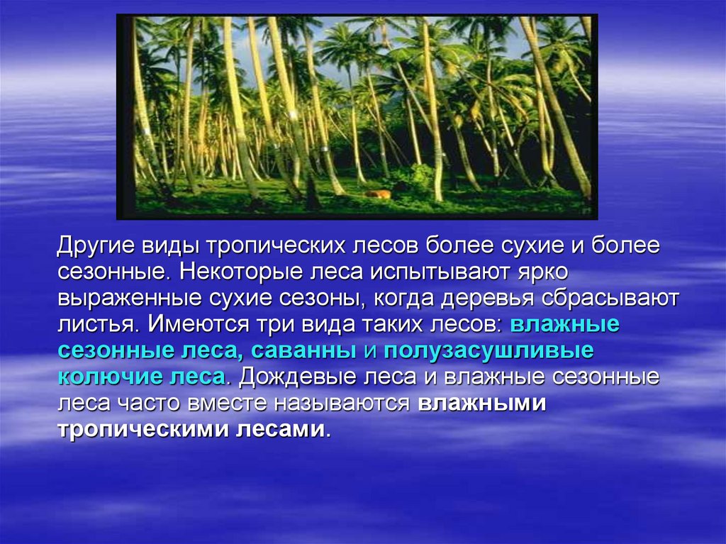 тропическая информация. тропическая информация. биом тропический лес. тропический климатический пояс. характеристика тропических лесов.