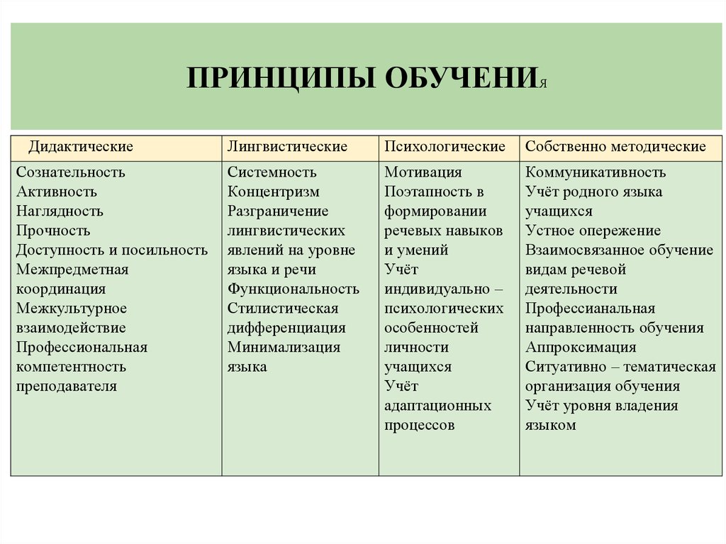 Принципы обучения русскому языку