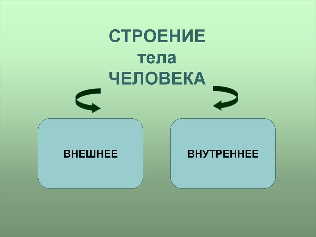 Окружающее внешне. Организм человека внутренние и внешнее. Организм человека 3 класс презентация. Организм человека 3 класс окружающий мир. Внутренний и внешний человек.