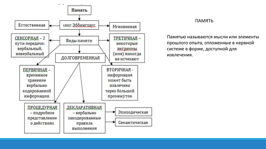 Высшие функции. Память естественная.