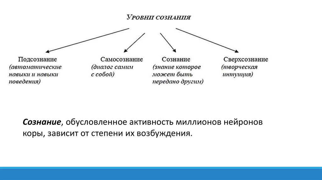 Высшие функции. Диалогическое сознание.