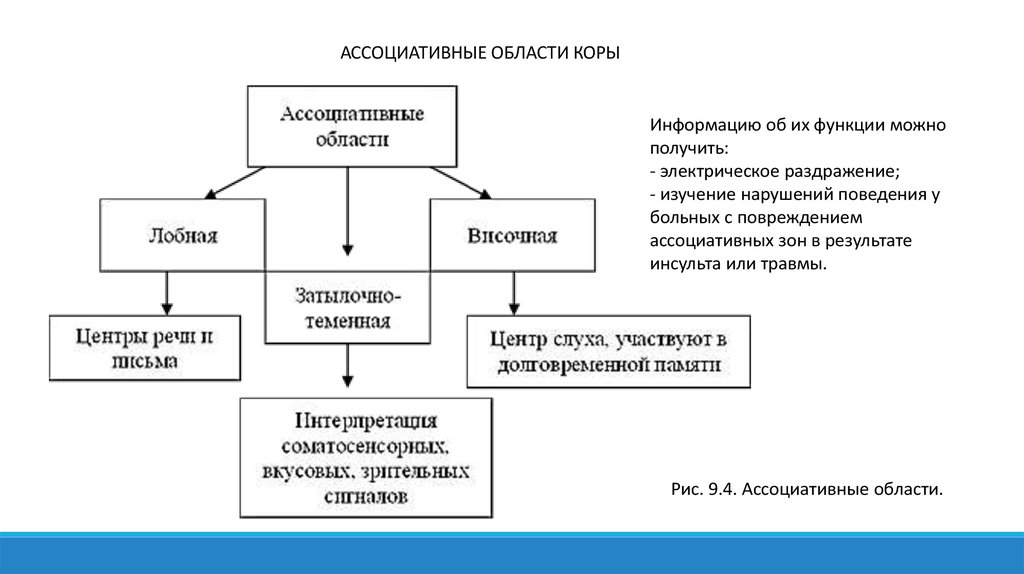 Высшие функций. Ассоциируемые области это.