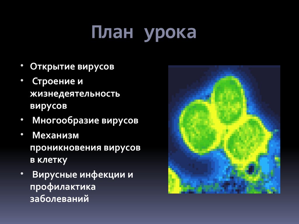 Открытие вирусов