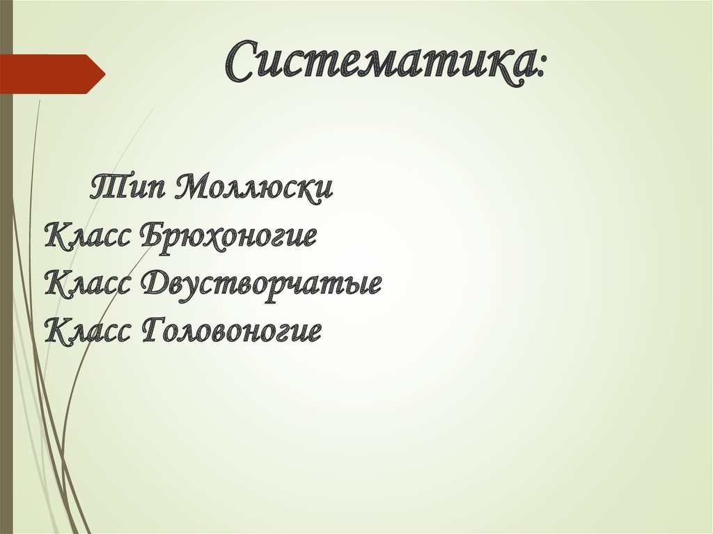 Систематика: Тип Моллюски Класс Брюхоногие Класс Двустворчатые Класс Головоногие