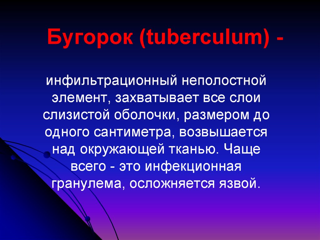 Бугорок (tuberculum) -