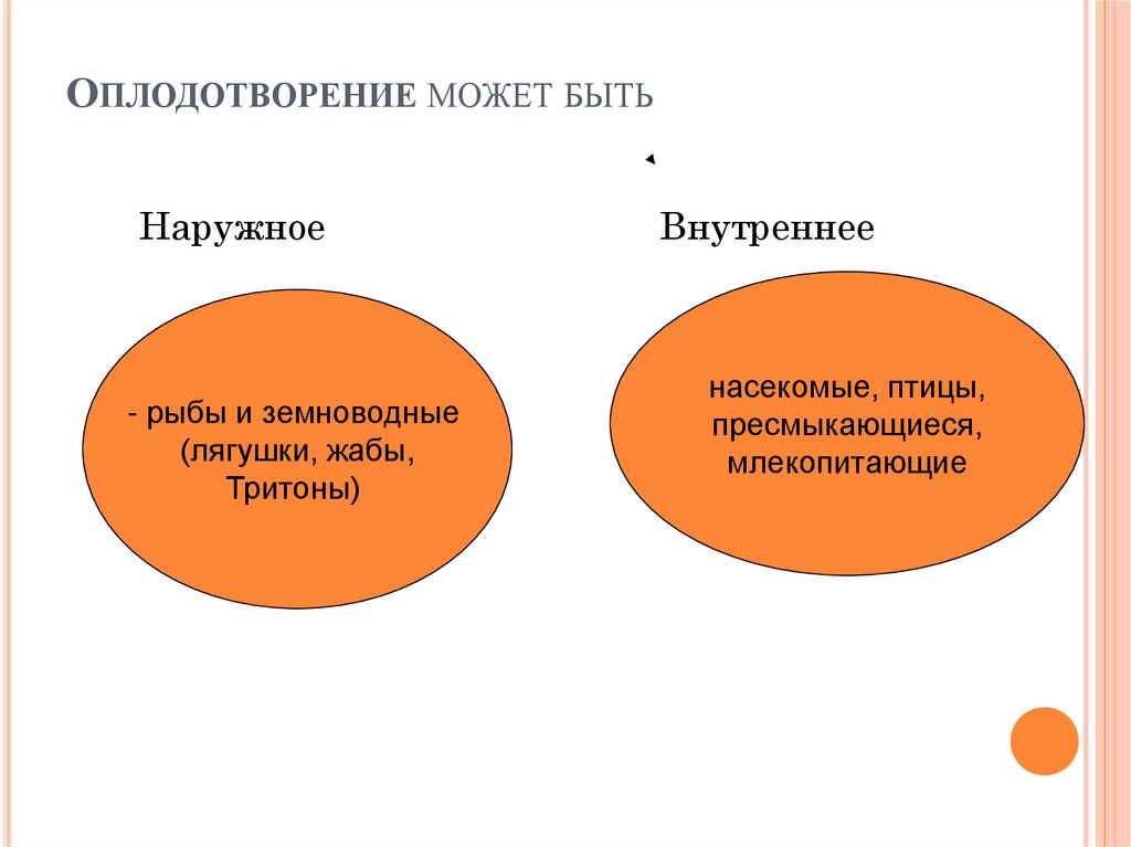 Внешнее оплодотворение. Наружное оплодотворение схема. Внешнее и внутреннее оплодотворение схема. Оплодотворение может быть. Оплодотворение наружное и внутреннее двойное искусственное.