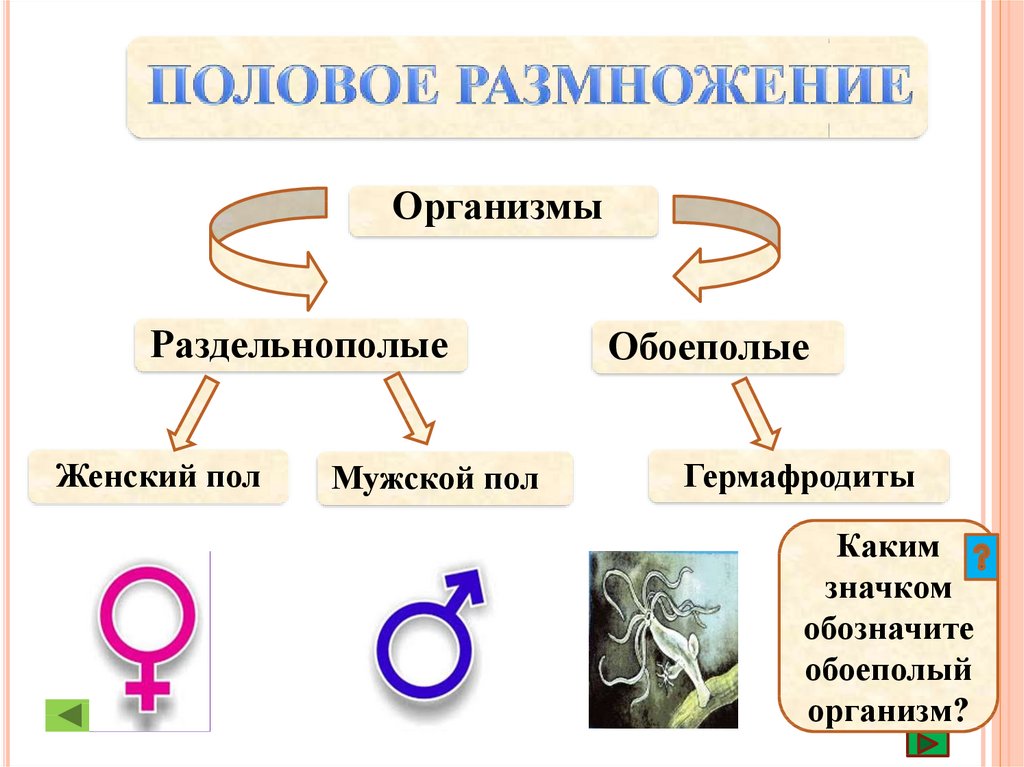 Новые организмы