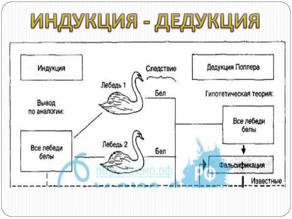 Схема индукции логика