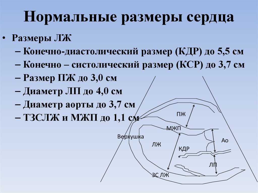 Нормальный диаметр. Нормальный объем сердца. Нормальные Размеры сердца. Размеры сердца на кт. Размеры сердца компьютерная томография.