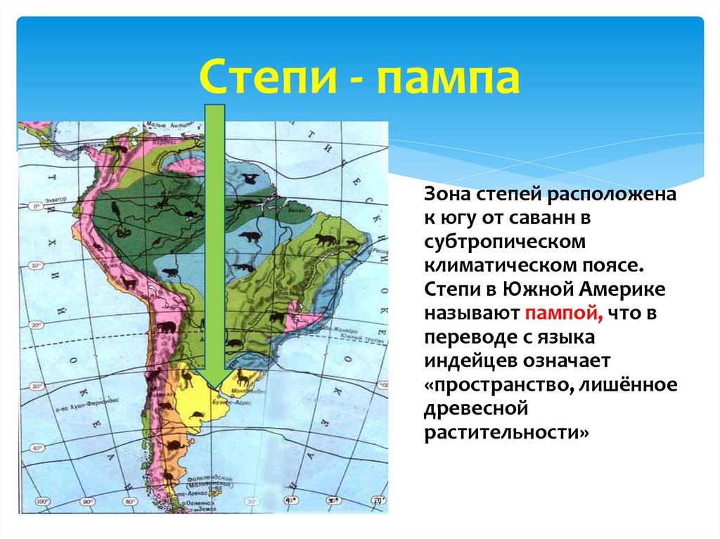 Природные области южной америки. Природные зоны Южной Америки 7 класс. Природные зоны Южной Америки 7 класс география. Степи пампа Южной Америки. Карта природных зон Южной Америки.