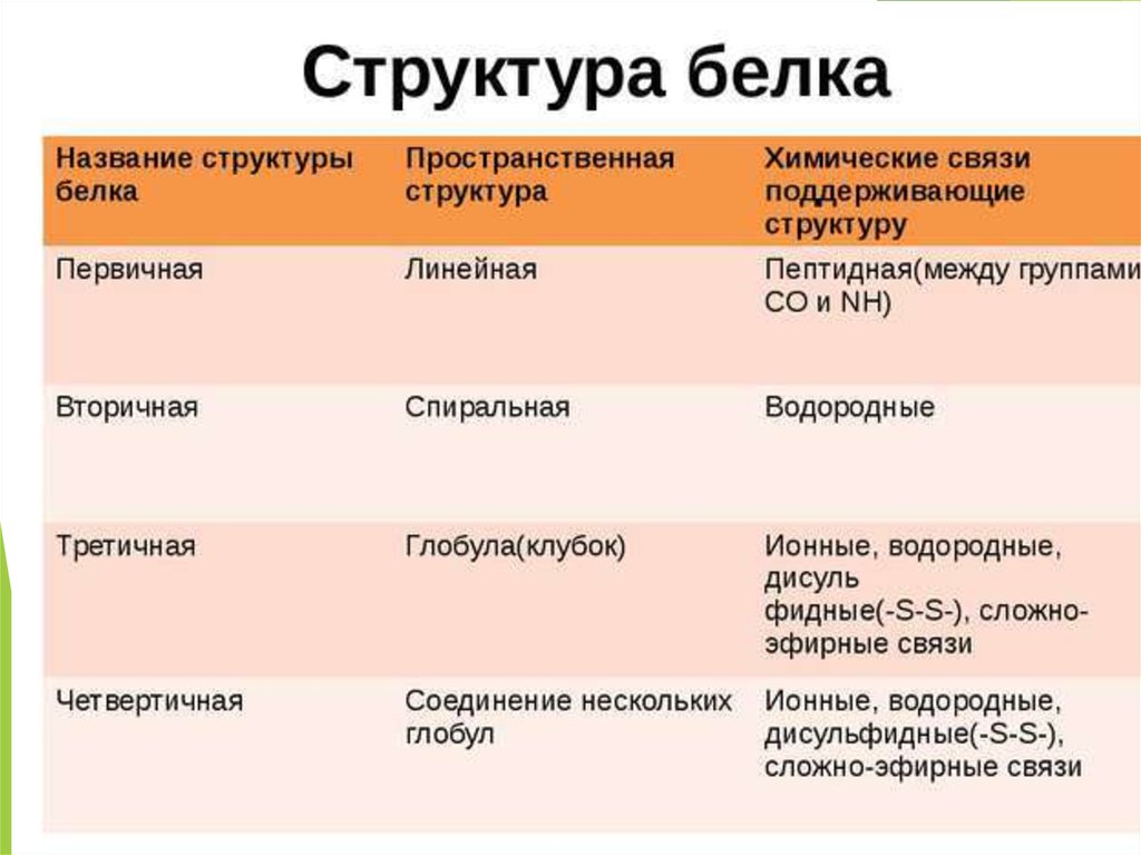 Назовите те свойства которые присущи только презентация со сценарием