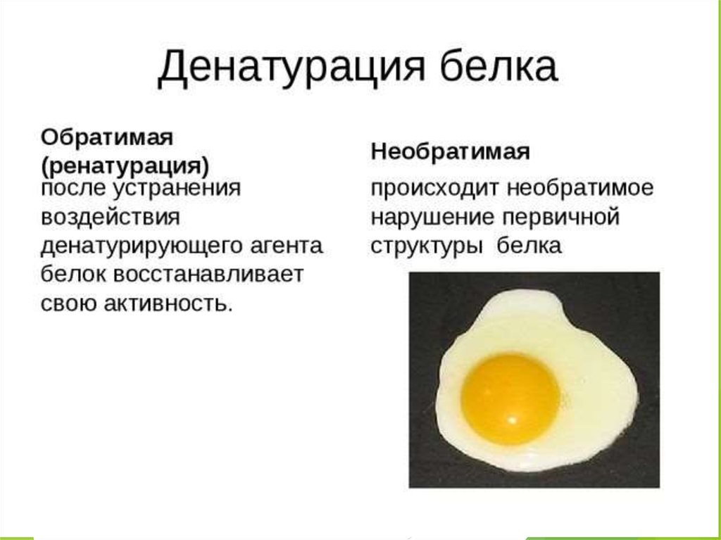 Разрушение белков. Что такое обратимая денатурация структура белка. Обратимая и необратимая денатурация белка. Обраьмаили динатурация Белуа. Биологические факторы денатурации белка.