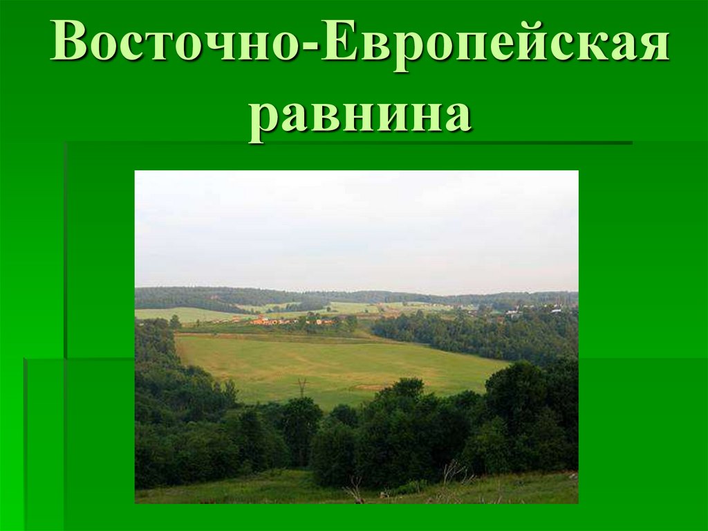 Восточно европейская равнина полезные. Восточно европейская равнина России. Равнины Восточно европейской равнины. Восточно Восточно европейская равнина равнина равнина. Восточноевропейсквя равнина.