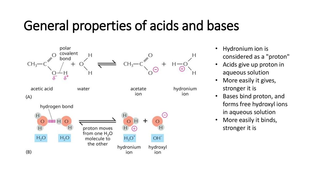 General properties of acids and bases