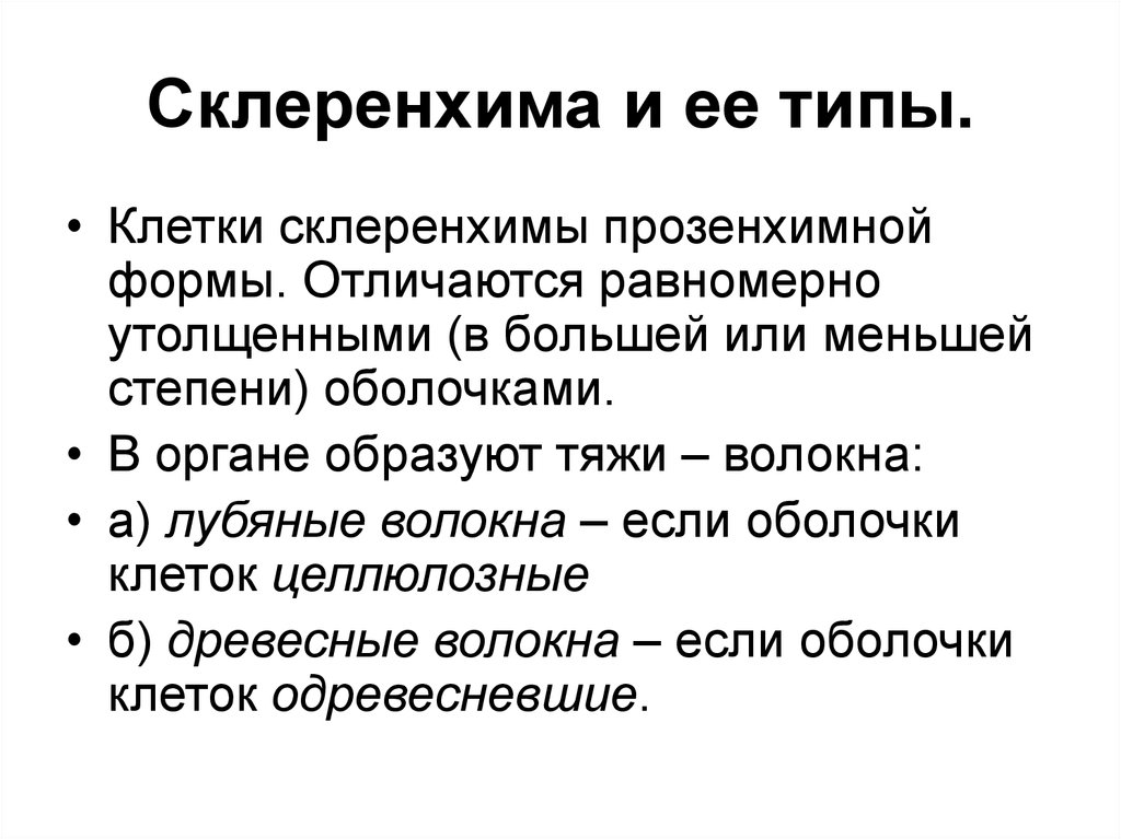 Совокупность клеток. Типы склеренхимы. Признаки склеренхимы.