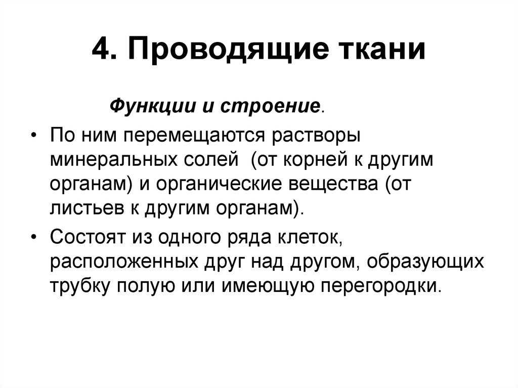 Четыре проводящие. Хлорагогенная ткань функция.